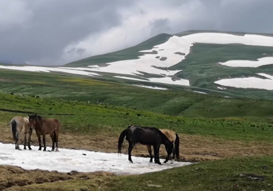 Неделя на Кубани начнётся с дождей в горах и на побережье